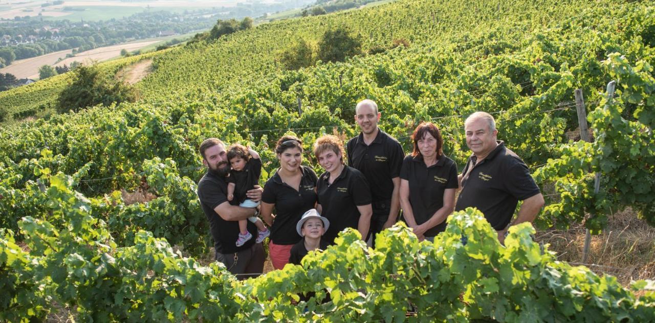 Weinschloesschen Im Weingut Roos Hotel Ilbesheim Kültér fotó
