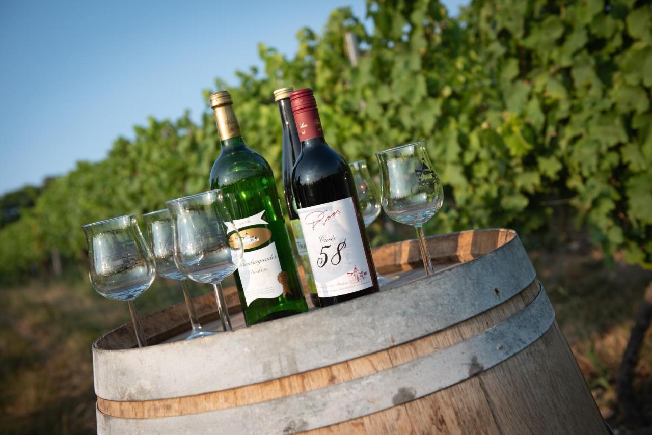 Weinschloesschen Im Weingut Roos Hotel Ilbesheim Kültér fotó